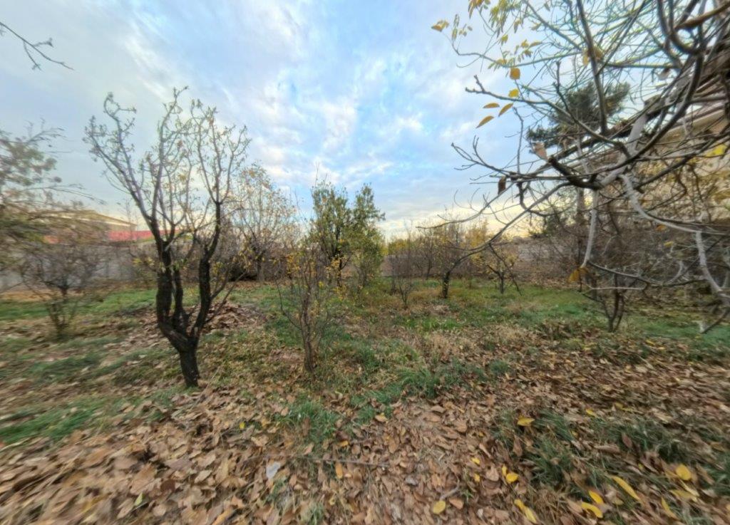 Screenshot 2024-11-29 225540