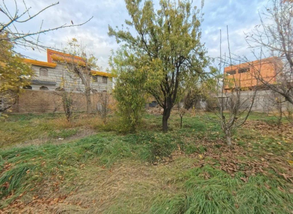 Screenshot 2024-11-29 225602