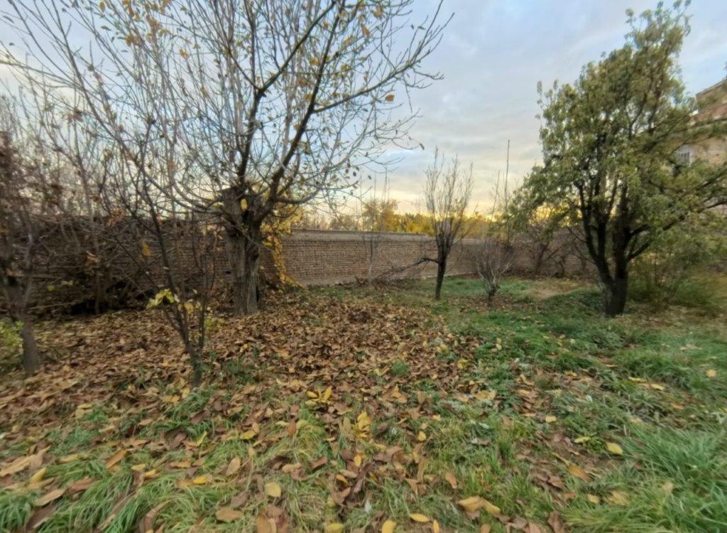 Screenshot 2024-11-29 225619