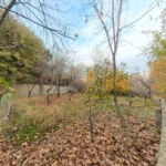 زمین 1000 متری در هرجاب برای فروش کد HJ11-10209302 عکس ۰۵ - روما۲۴ - Roma24