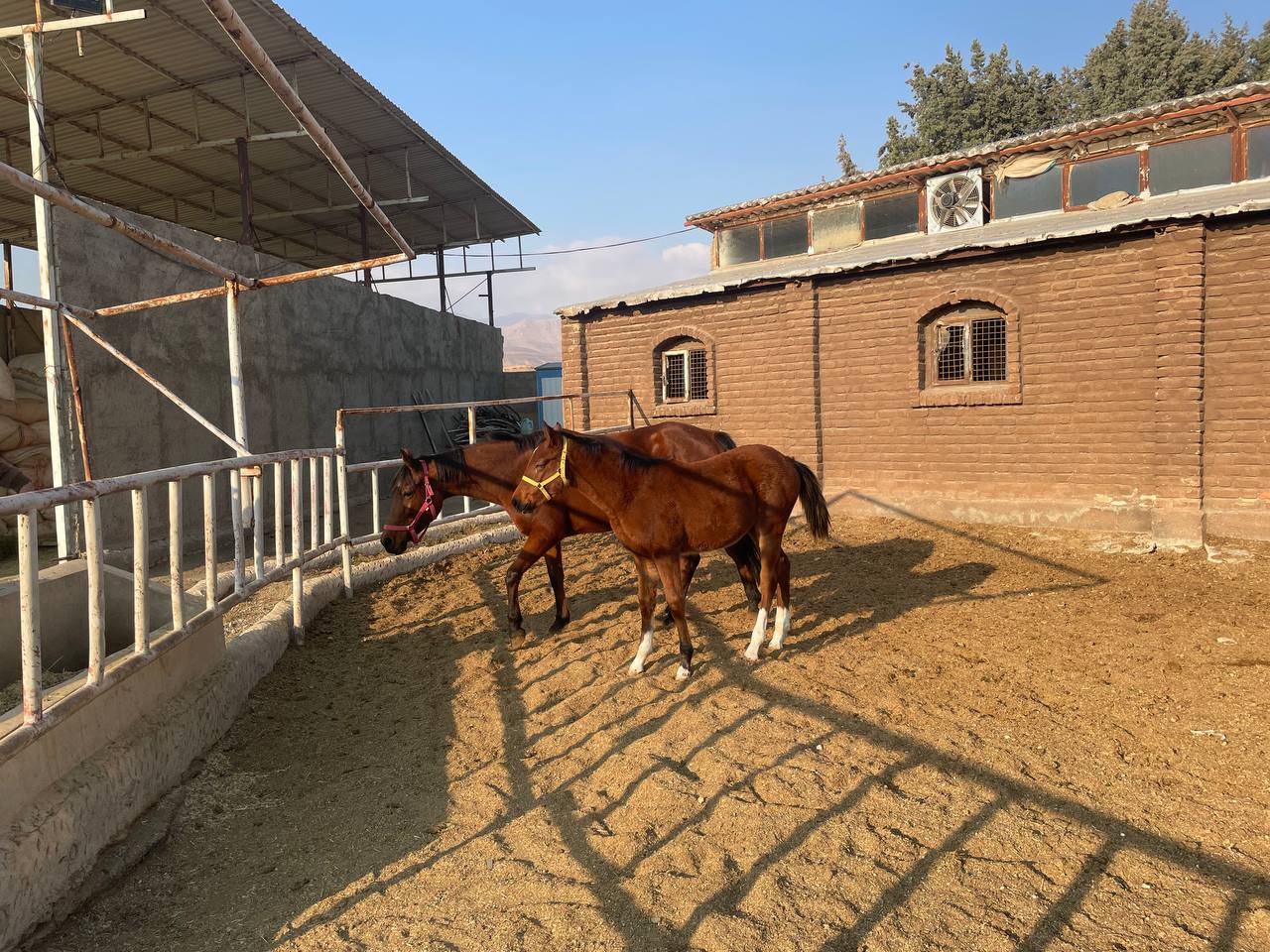 photo_2024-12-04_07-29-25