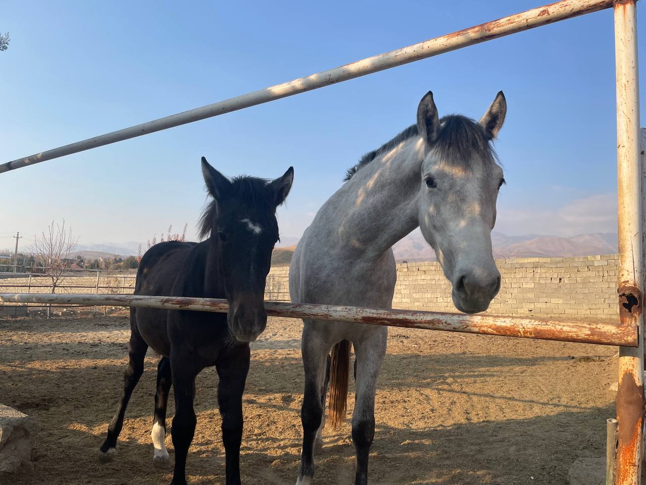 photo_2024-12-04_07-29-37